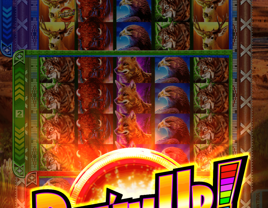Aruze Gaming