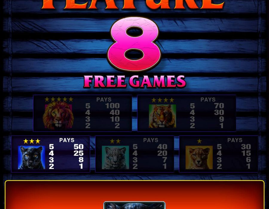 Aruze Gaming